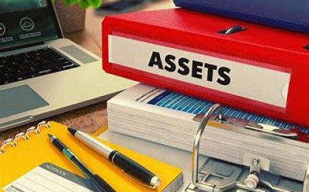 Introduction to Assets for Kids & Adults