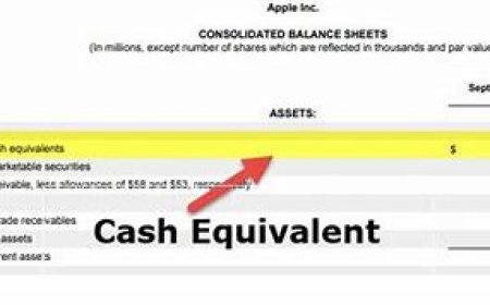 Introduction to Cash & Cash Equivalents for Kids & Adults