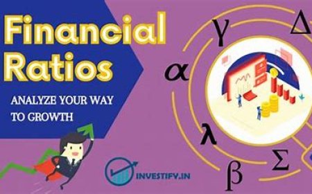 Introduction to Financial Ratios for Kids & Adults