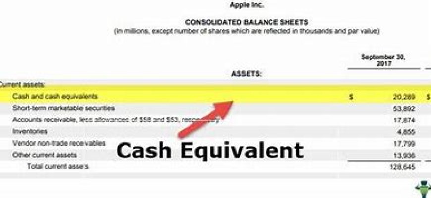 Introduction to Cash & Cash Equivalents for Kids & Adults