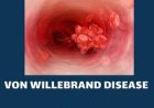 Von Willebrand Disease (VWD)