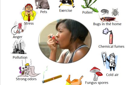Identifying Asthma Triggers