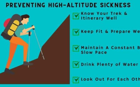 High Altitude sickness