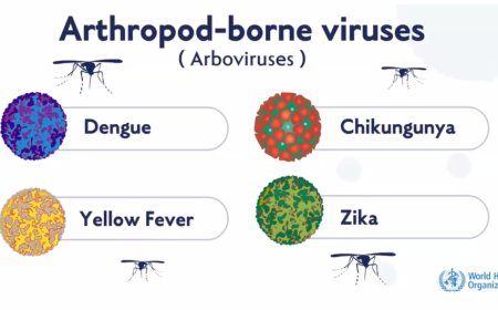 Arbovirus A Chikungunya