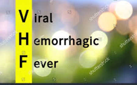 Viral Hemorrhagic Fever (VHF)