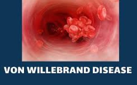 Von Willebrand Disease (VWD)