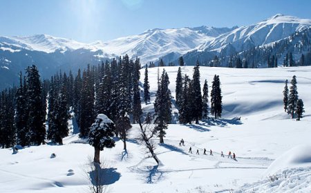 5-Day Romantic Getaway Itinerary to Gulmarg for Couples