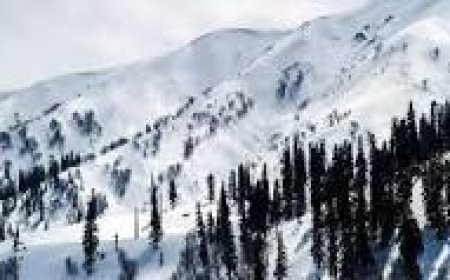 5-Day Solo Adventure Itinerary to Gulmarg for a Bachelor