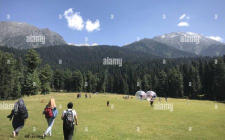 5-Day Solo Adventure Itinerary to Pahalgam for a Bachelo