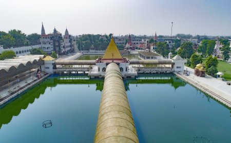 5-Day Bachelor Trip to Jalandhar