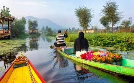 5-Day Romantic Getaway Itinerary to Srinagar for Couples