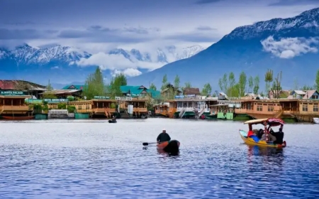 5-Day Solo Adventure Itinerary to Srinagar for a Bachelor