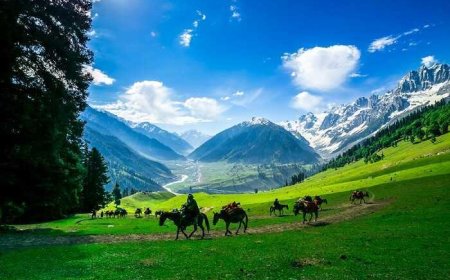 5-Day Romantic Getaway Itinerary to Sonamarg for Couples