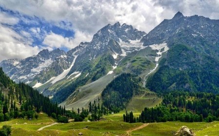 5-Day Solo Adventure Itinerary to Sonamarg for a Bachelor