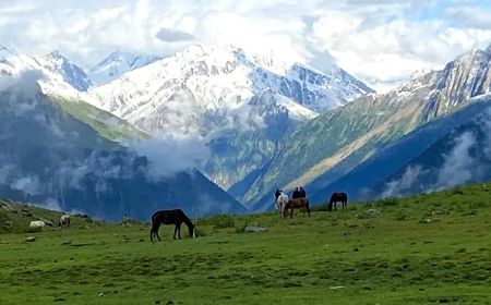 5-Day Family Adventure Itinerary to Sonamarg