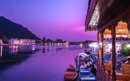 5-Day Family Adventure Itinerary to Dal Lake