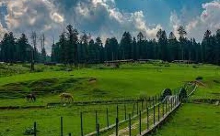 5-Day Family Retreat in Yusmarg