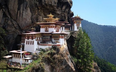 5-Day Solo Adventure in Thimphu for Bachelors
