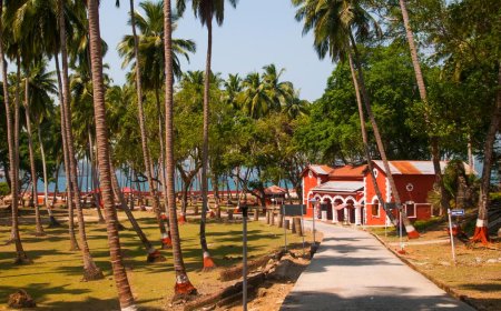 5-Day Romantic Getaway to Port Blair