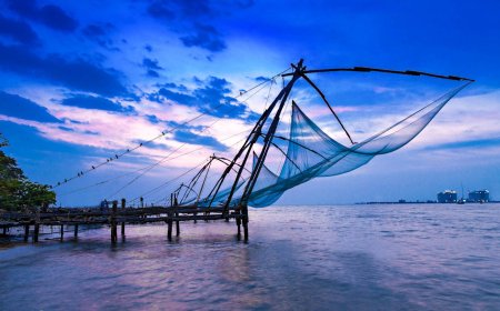 5-Day Solo Adventure in Cochin