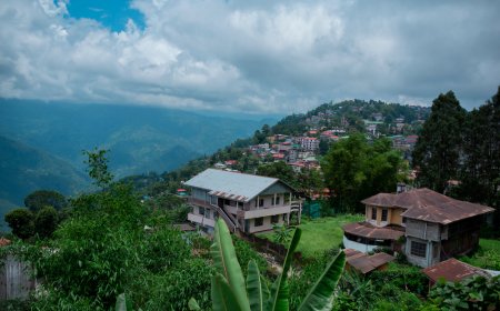 5-Day Solo Adventure in Kalimpong for Bachelors