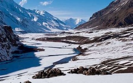 5-Day Family-Friendly Itinerary to Spiti