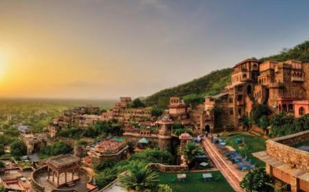 5-Day Solo Adventure in Neemrana for Bachelors