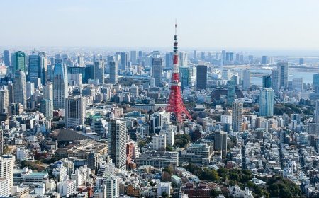 5-Day Family Adventure in Tokyo