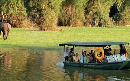 5-Day Solo Adventure in Kabini