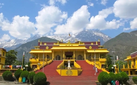 5-Day Romantic Getaway to Dharamshala for Couples