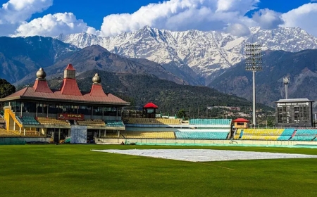 5-Day Solo Adventure in Dharamshala for Bachelors