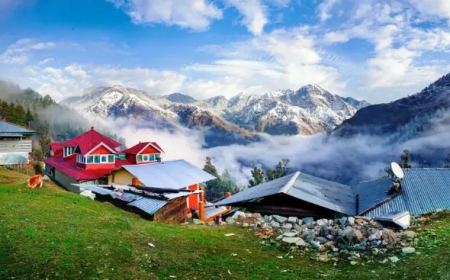 5-Day Family Adventure in Dharamshala