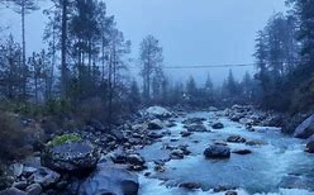 5-Day Family-Friendly Itinerary to Kullu