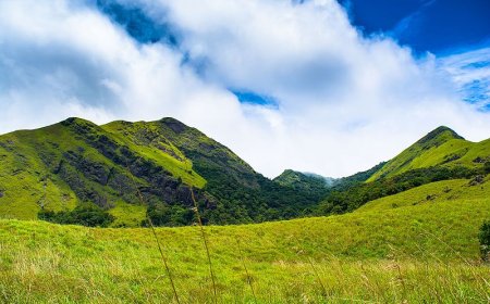 5-Day Romantic Getaway to Wayanad for Couples