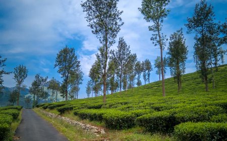 5-Day Family Getaway in Wayanad