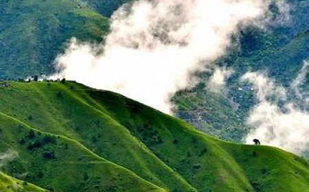 5-Day Family-Friendly Itinerary to Chail