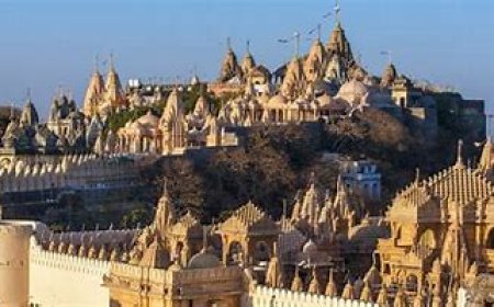 5-Day Solo Adventure Itinerary to Bhavnagar for a Bachelor