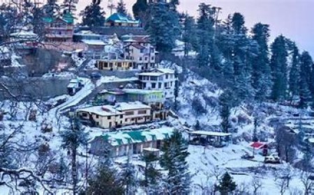 5-Day Solo Adventure Itinerary to Simla for a Bachelor
