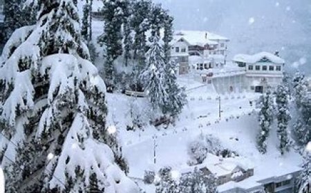 5-Day Romantic Getaway Itinerary to Simla for Couples