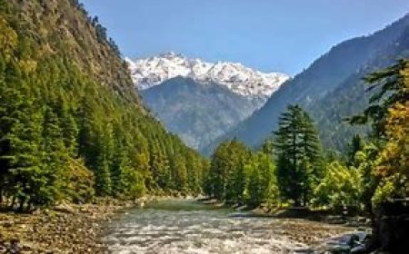 5-Day Solo Adventure Itinerary to Kufri for a Bachelor