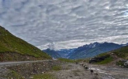 5-Day Solo Adventure Itinerary to Rohtang Pass for a Bachelor