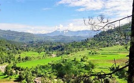 5-Day Romantic Getaway Itinerary to Chail for Couples