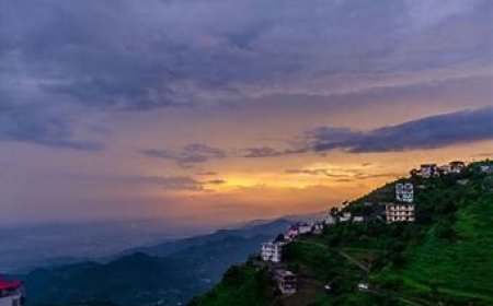 5-Day Solo Adventure Itinerary to Kasauli for a Bachelor