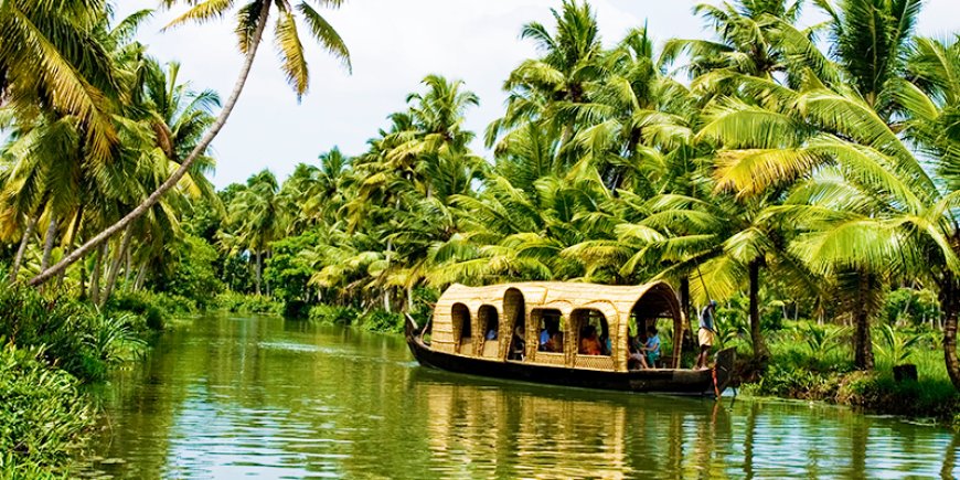 5-Day Family Trip to Alleppey