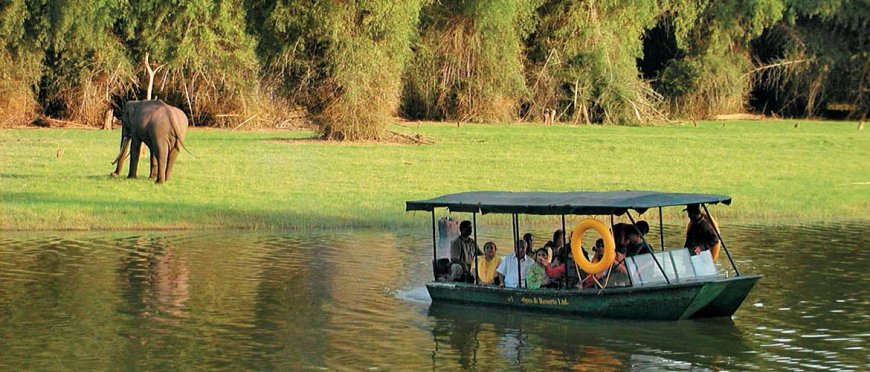 5-Day Solo Adventure in Kabini