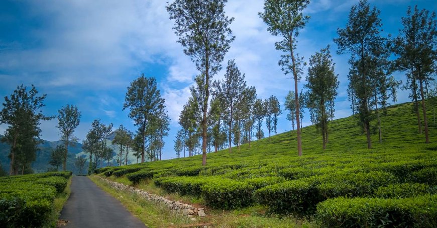 5-Day Family Getaway in Wayanad