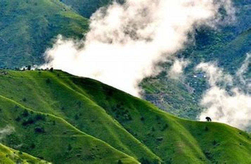 5-Day Family-Friendly Itinerary to Chail