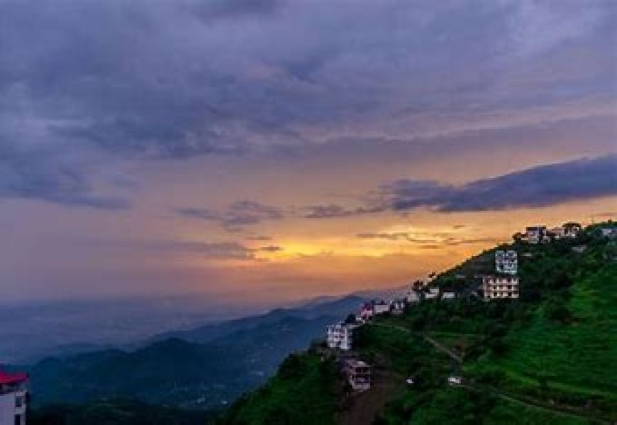 5-Day Solo Adventure Itinerary to Kasauli for a Bachelor