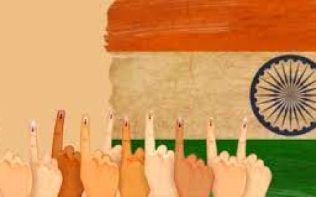 Maximizing Investments: The Symbiotic Relationship Between Political Donations and Stock Market Gains in India