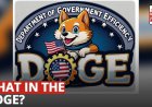 The Expiry of DOGE – A Political Gambit or Strategic Reset?